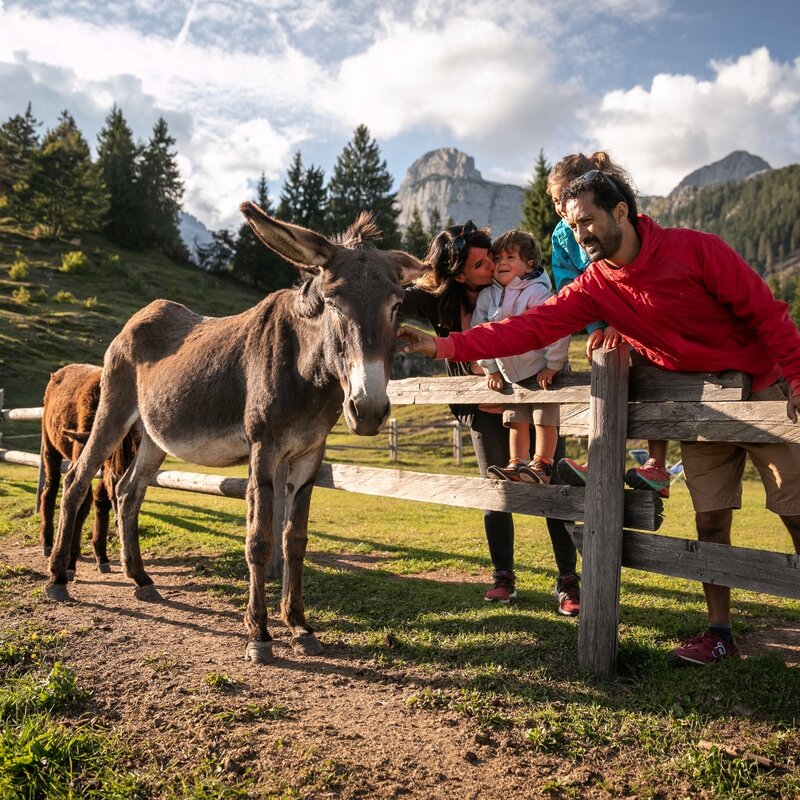 Hiking in Pradel: Malga Tovre, La Montanara Refuge, and Croz dell'Altissimo Refuge