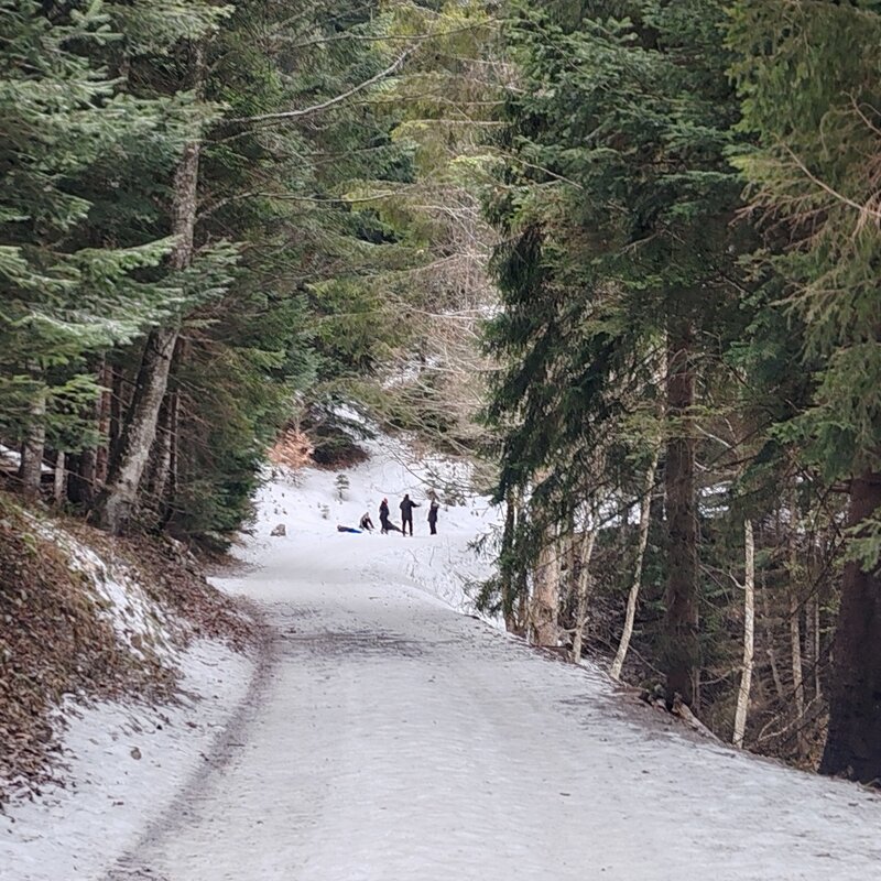 Escursione invernale dal Dosson al Meriz