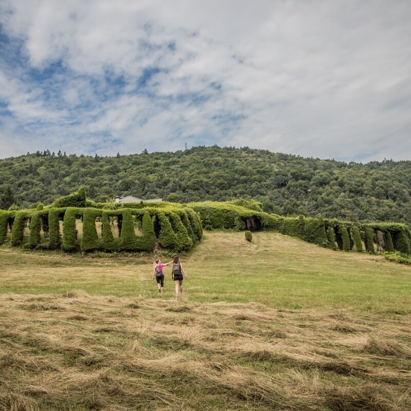 Faedo - Zise - Roccolo del Sauch (SAT 409)