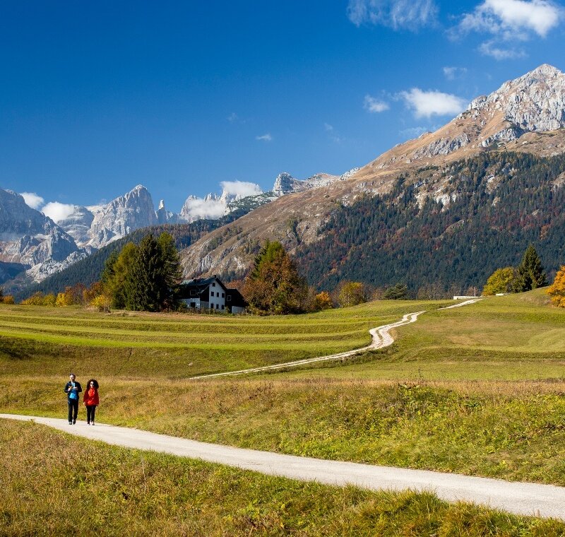 Passeggiate ad Andalo