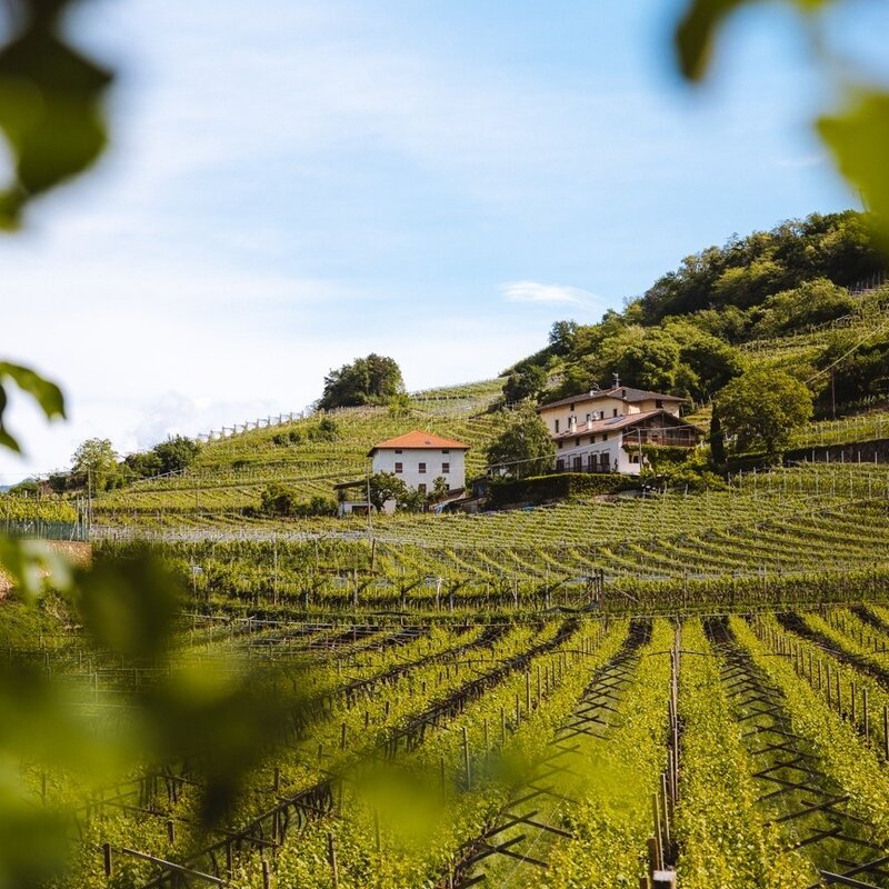 Masos Franch and Clinga Loop