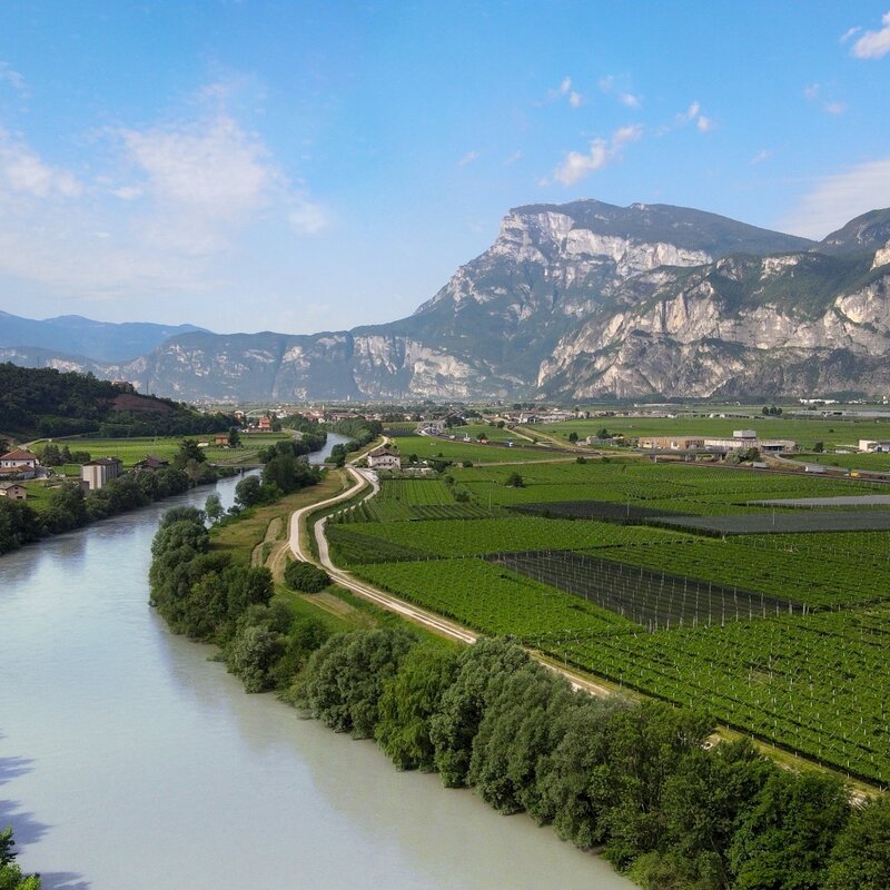 Giro Vino 50
