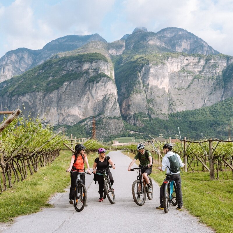 Giro Vino 50