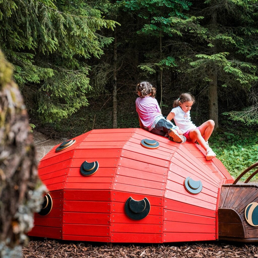 Mega Bugs: il bosco degli insetti giganti