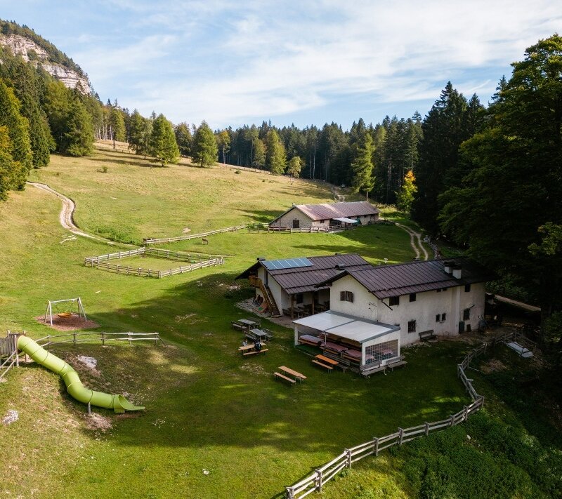 Monte - Malga Kraun refuge (SAT footpaths 500-507)