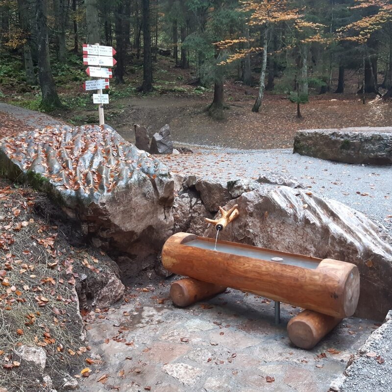 Passeggiata dai Prati di Gaggia al belvedere sul lago di Molveno