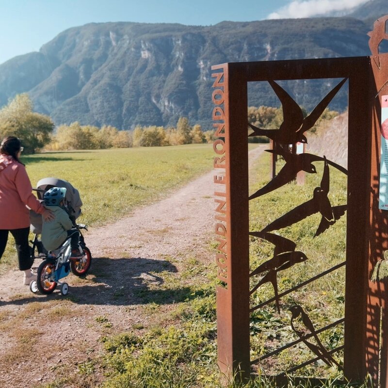 Spaziergang an den Mündungen des Avisio