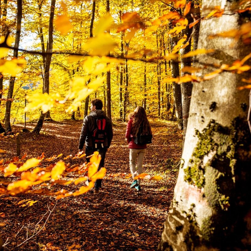 Sentiero Acqua e Faggi nel Parco del Respiro