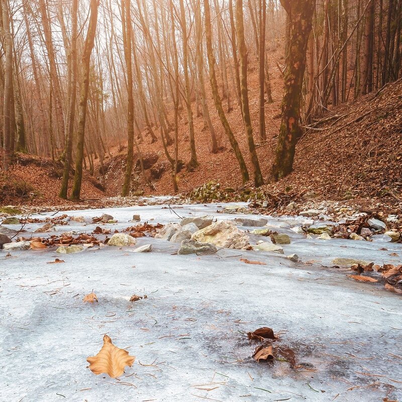 Sentiero Acqua e Faggi nel Parco del Respiro