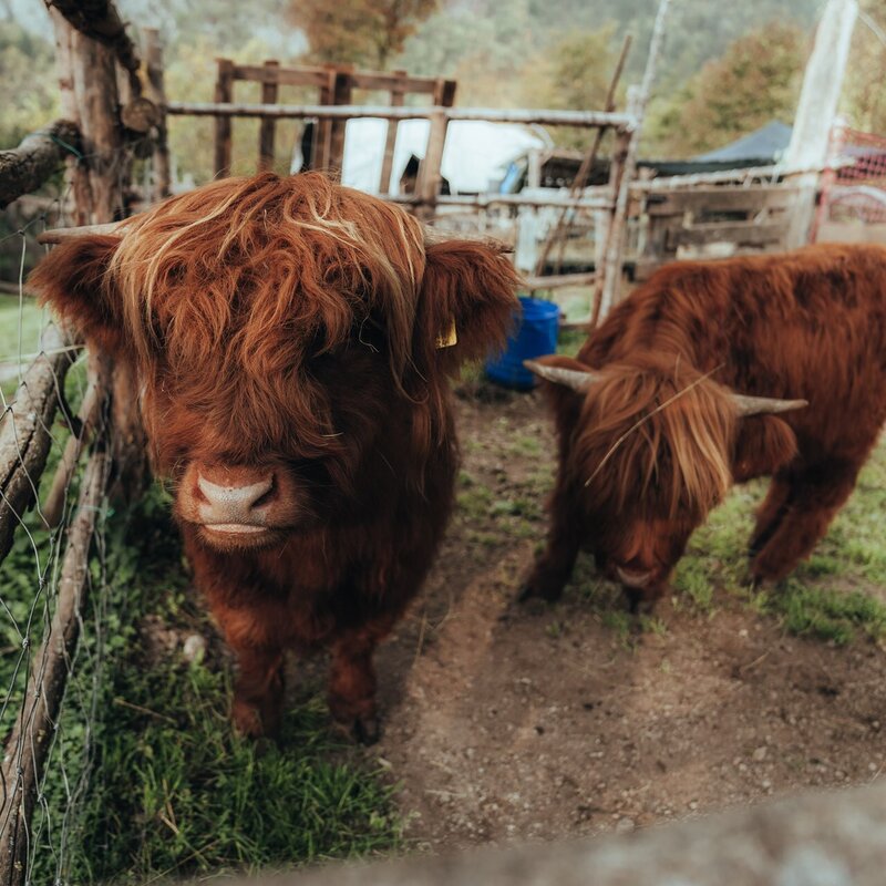 Agriturismo Fattoria Athabaska