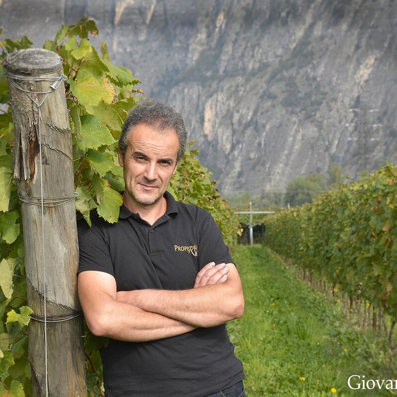 Weingut Fedrizzi Cipriano