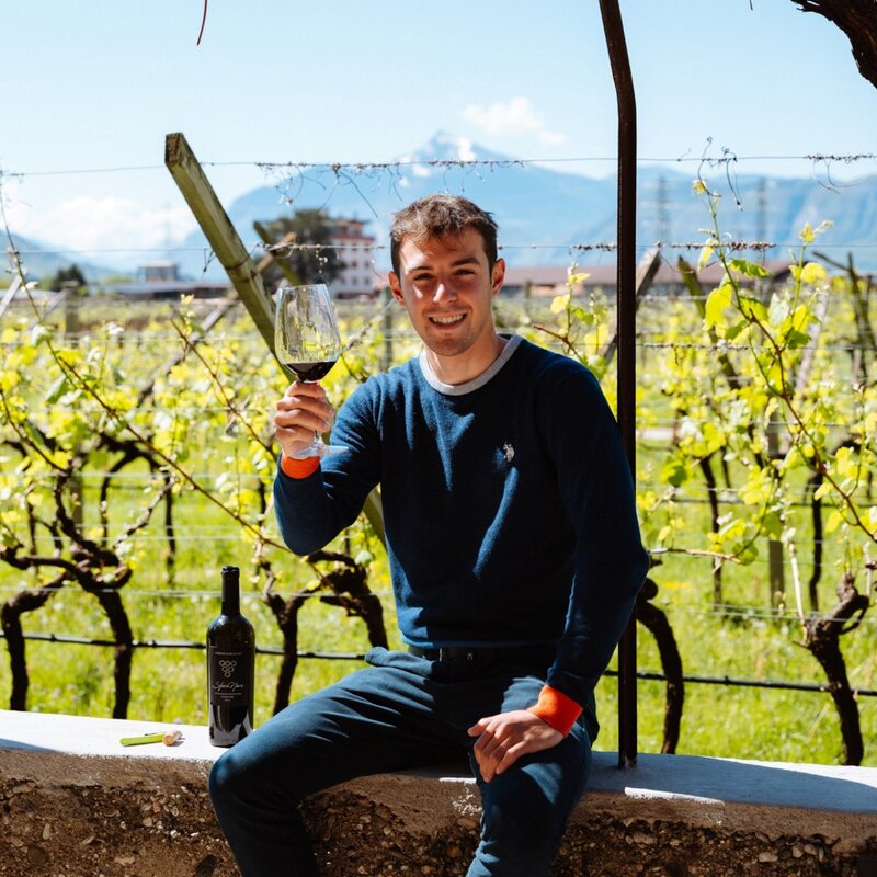 Cantina Elio Endrizzi