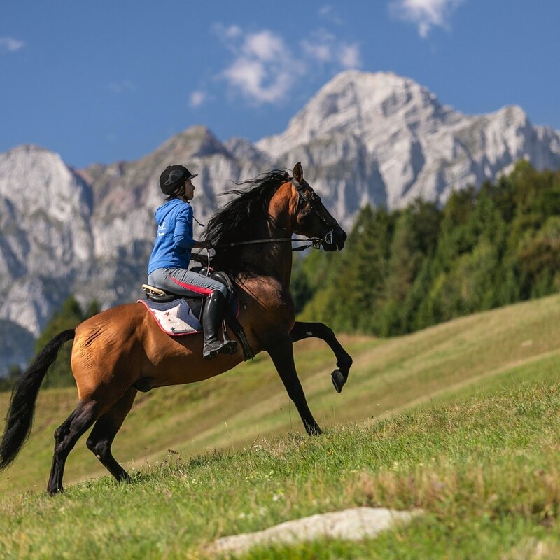 Andalo Riding Centre