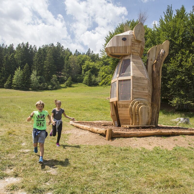 Sciury Fun Park