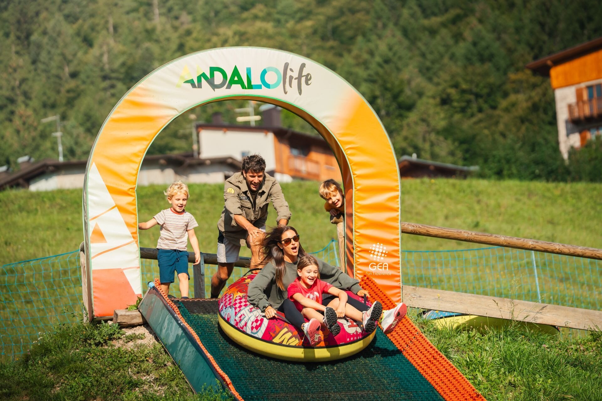 Bild